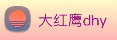 大红鹰dhy logo